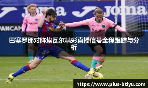 B体育